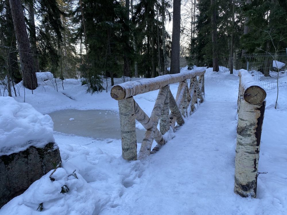 Photograph by Наталья