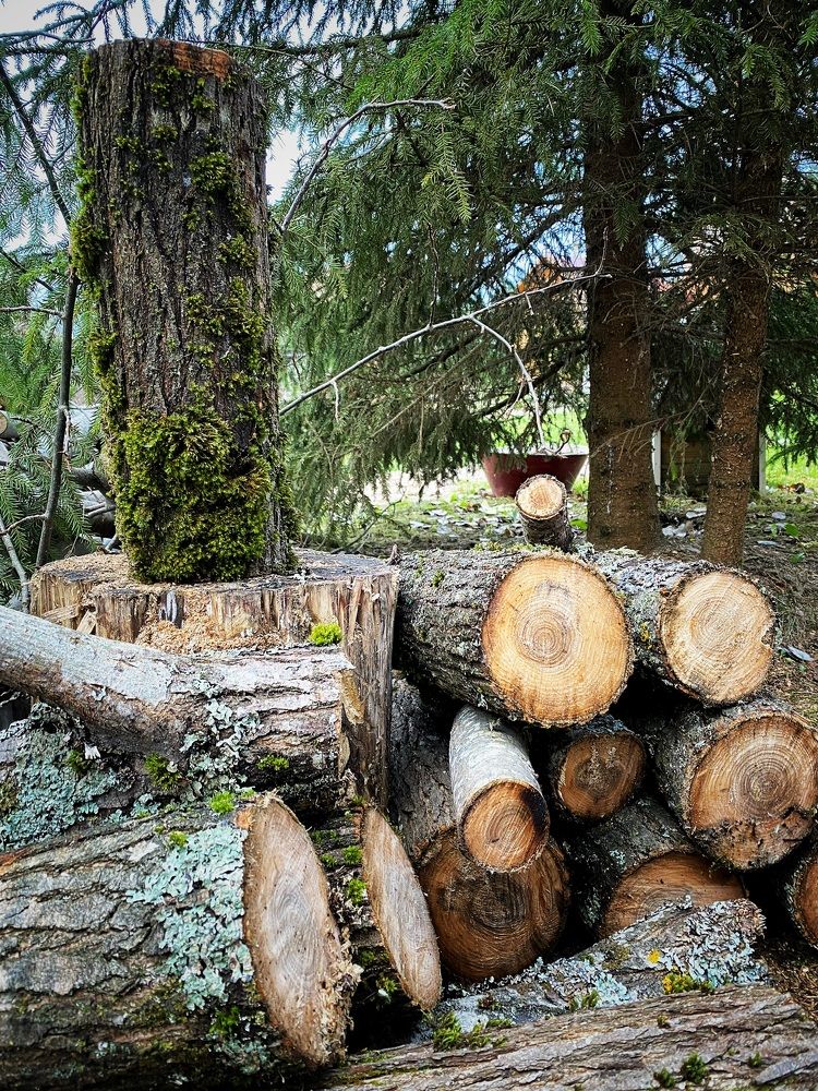 Photograph by Наталья