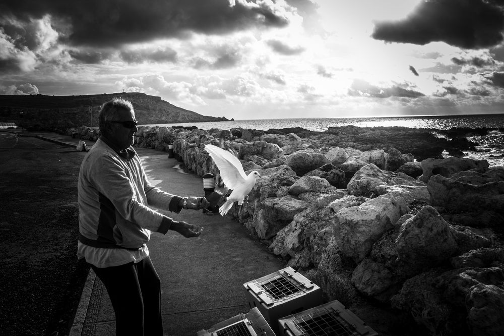 Photograph by Ernest Spiteri Gonzi