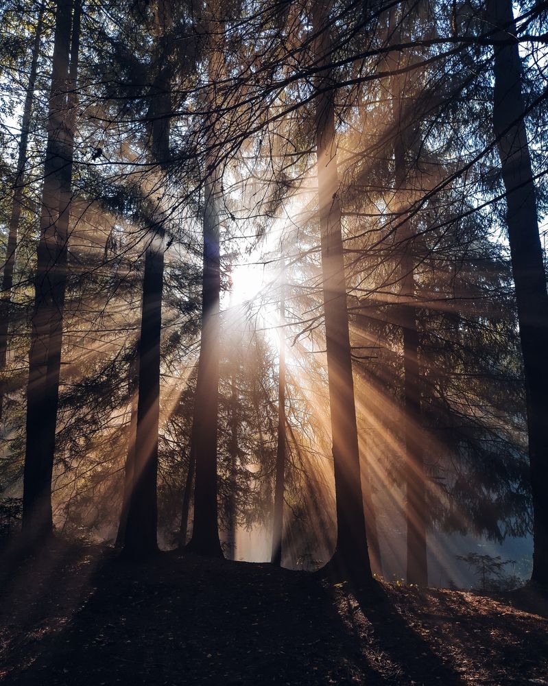 Photograph by Константин Игнатьев