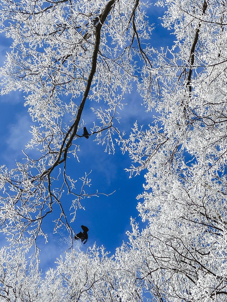 Photograph by Олена Уманцева