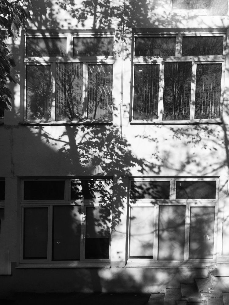 Photograph by Ольга Томашевич