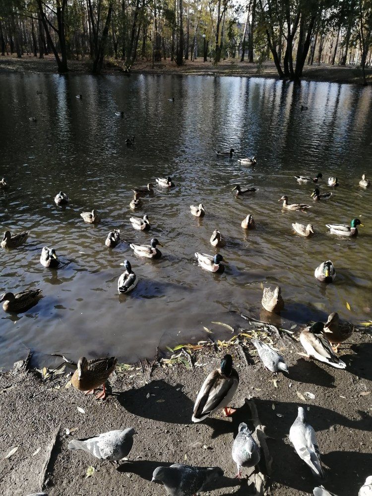 Photograph by Надежда Яковлева