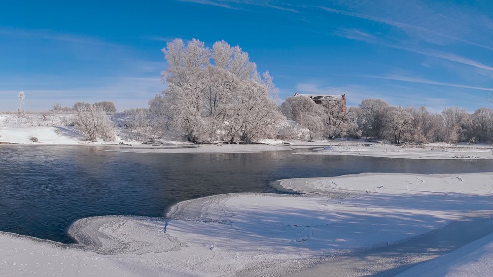 Фотография автора Николай Бологов