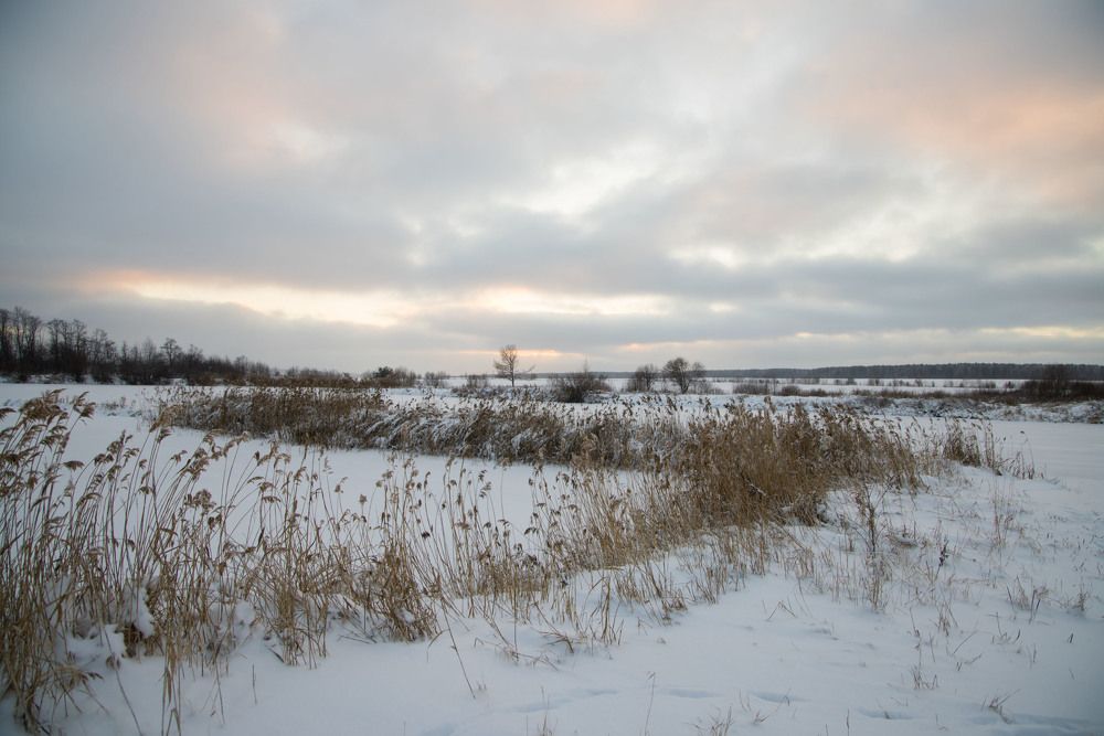 Photograph by Максим Фролов