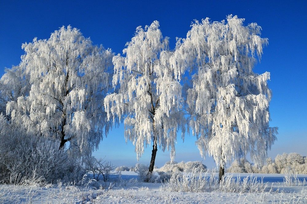 Photograph by Rita Būgienė