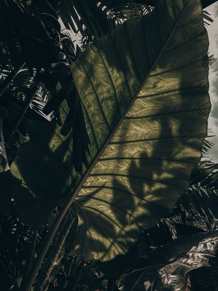 Photograph by Швай Наталья