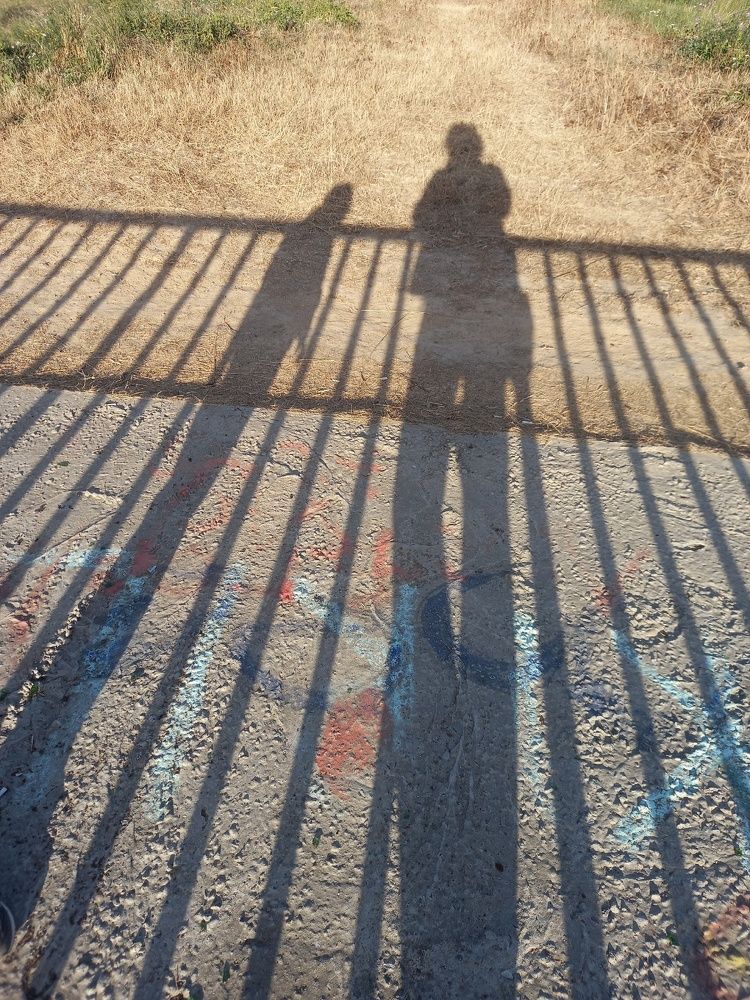 Photograph by Елена Стещенко