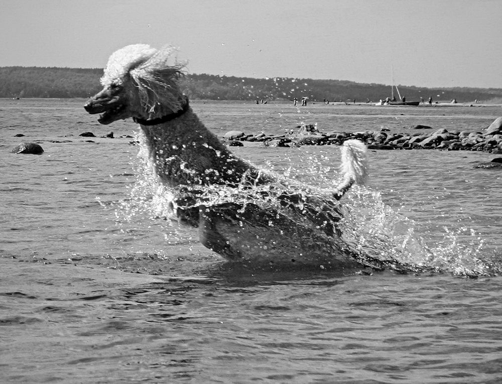 Photograph by Станислав Староверов