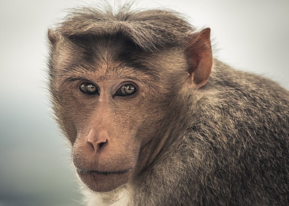 Photograph by GOKUUL T