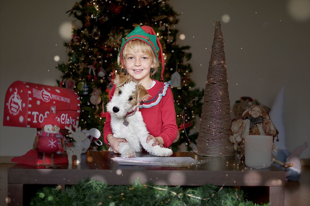 Photograph by Anne Krass