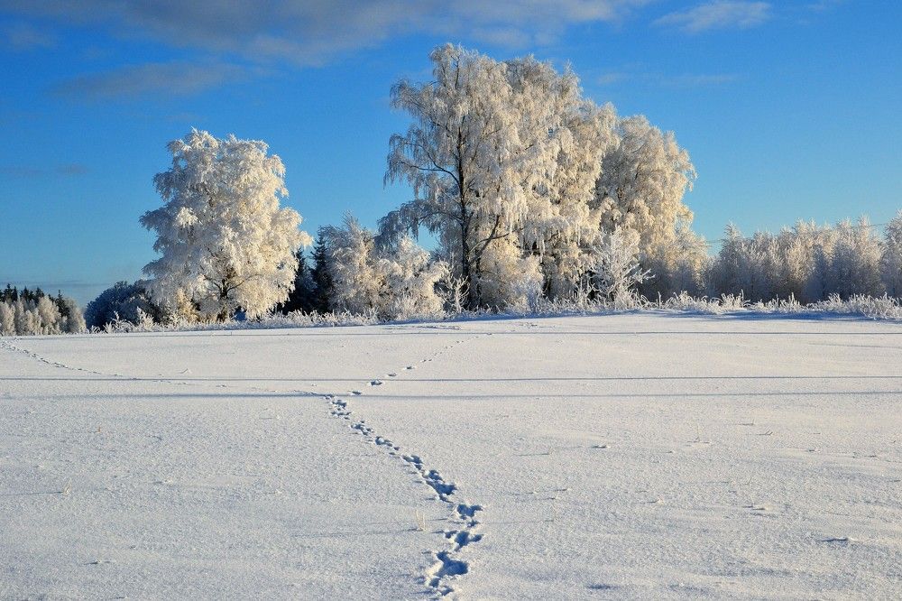 Photograph by Rita Būgienė