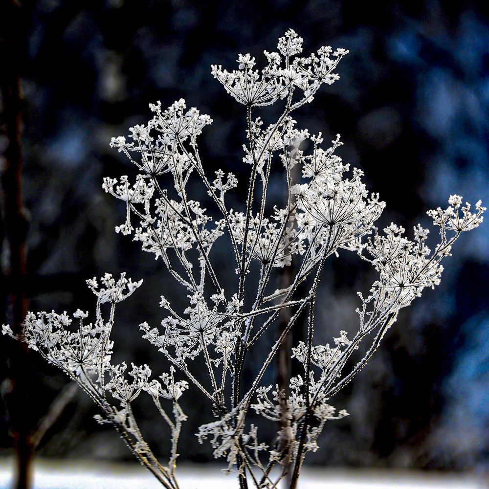 Photograph by Дмитрий Потапов