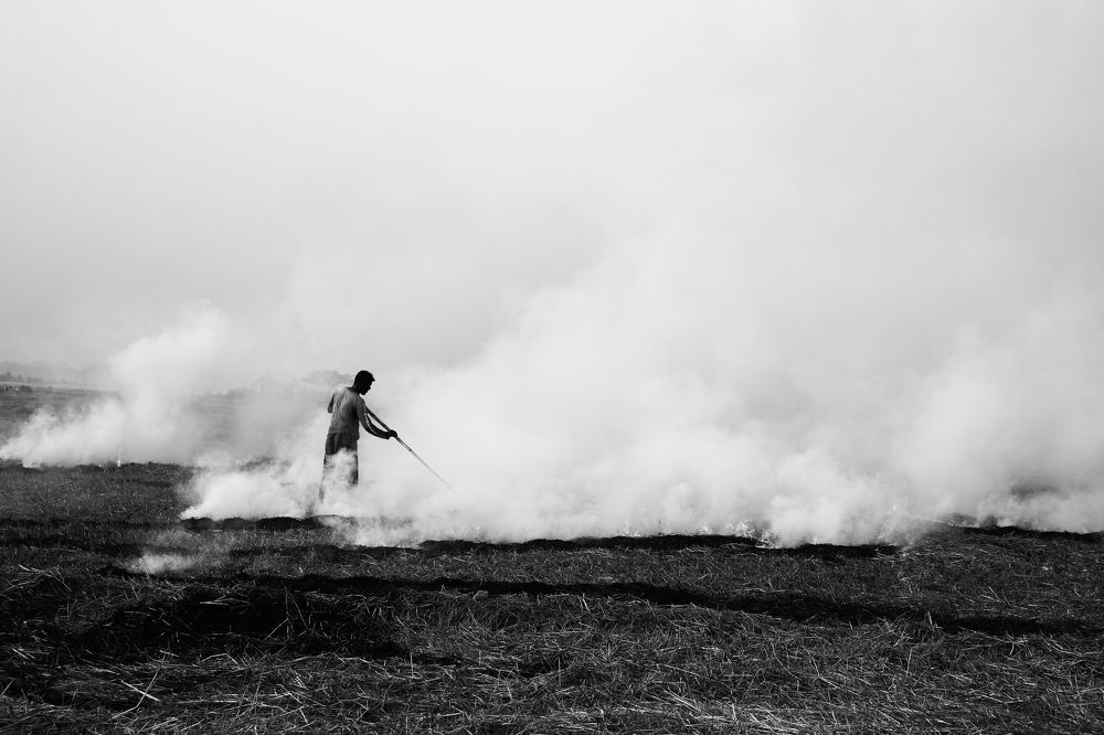 Photograph by Syed Abid Reza