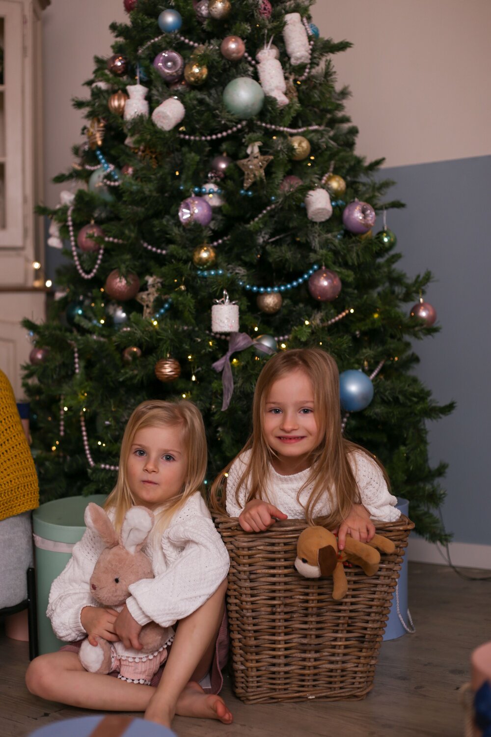 Photo #8555129