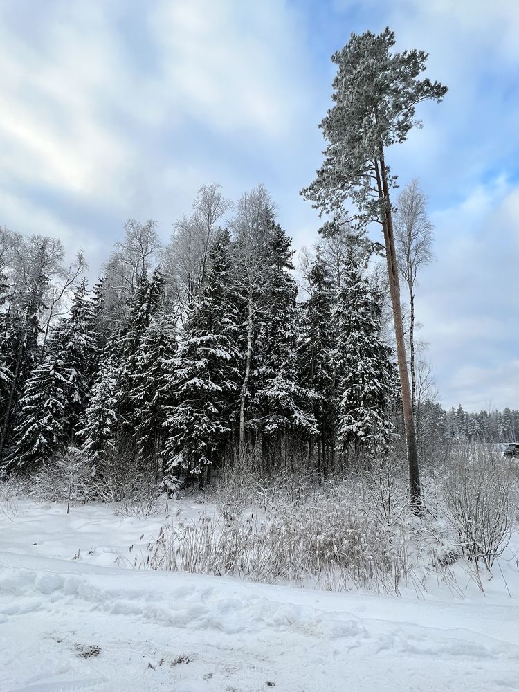 Photograph by Marya Kiseleva