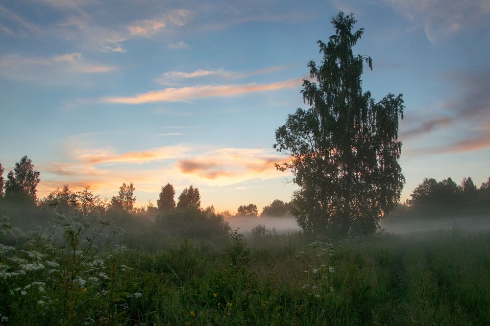 Летний туман