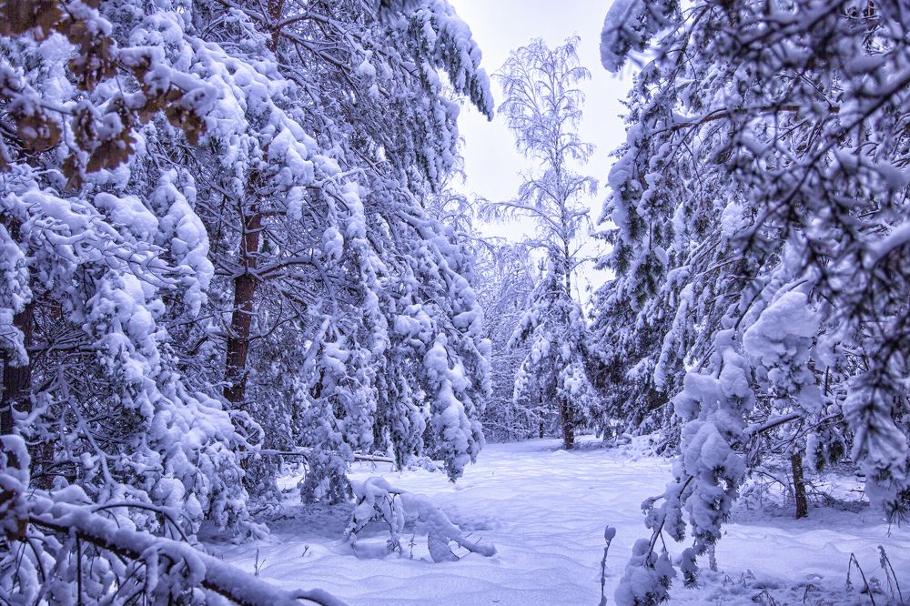 Photograph by Игорь