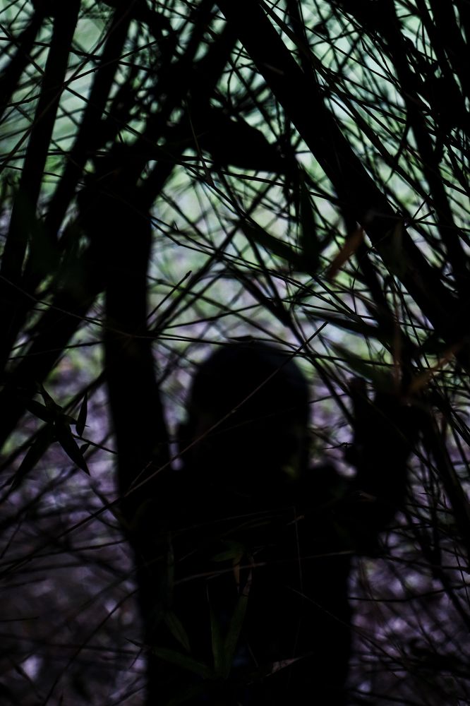 Photograph by Janith Prasanna J.P.