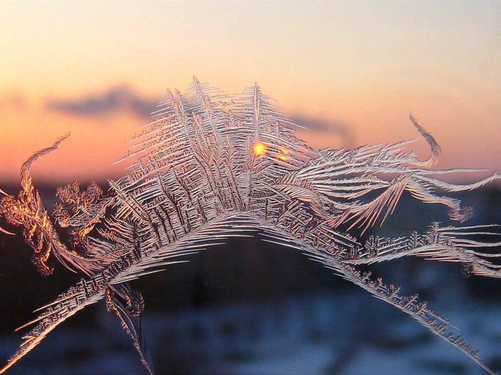 Photograph by Надежда Батракова