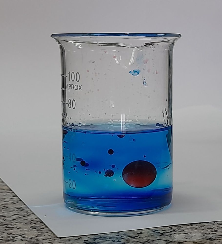 Photo #8555377