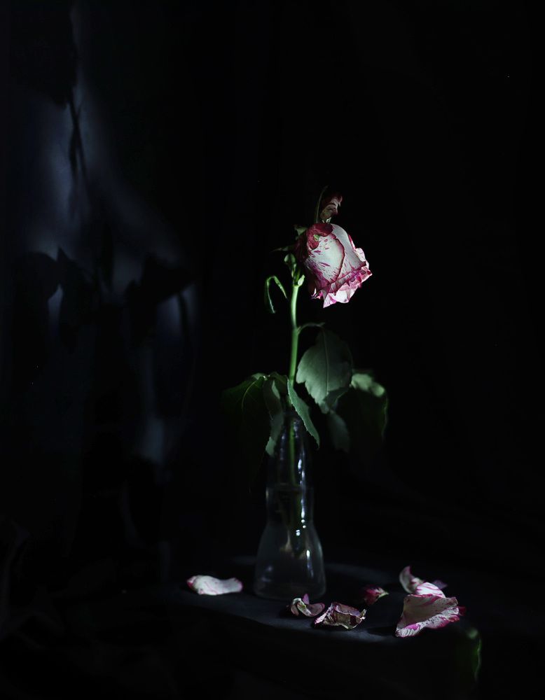 Photograph by Щеголихина Елена Евгеньевна