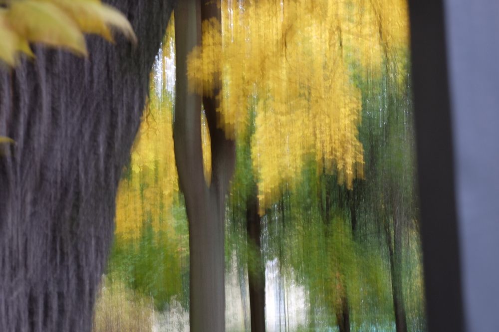 Photograph by ,Бурова Лариса