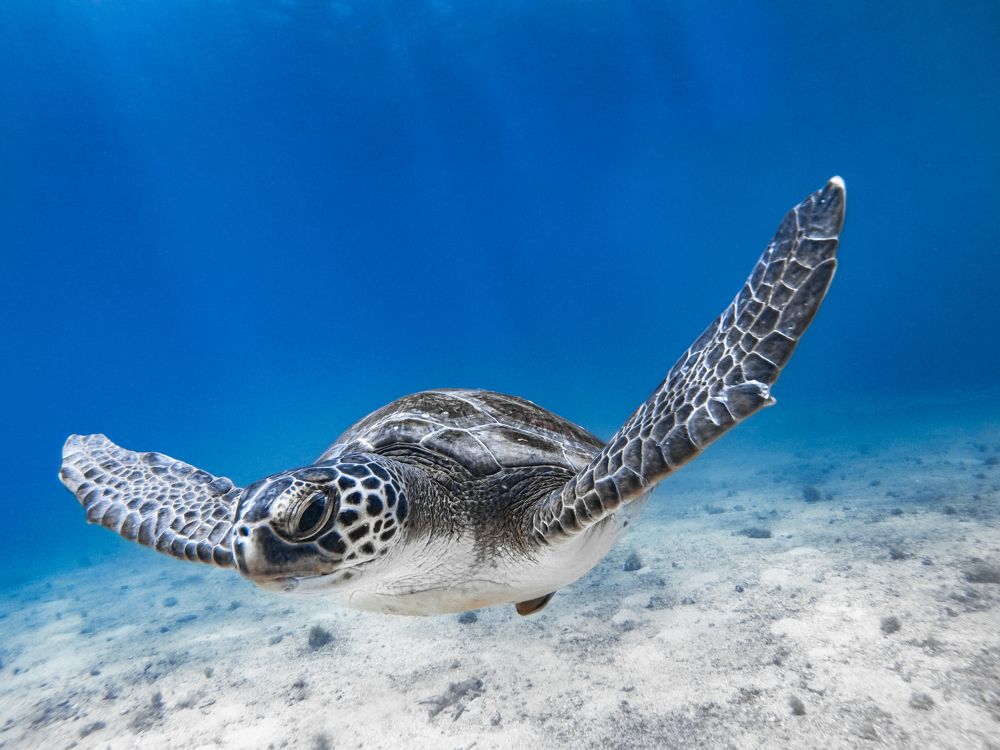 Photograph by Pedro Filadelfo