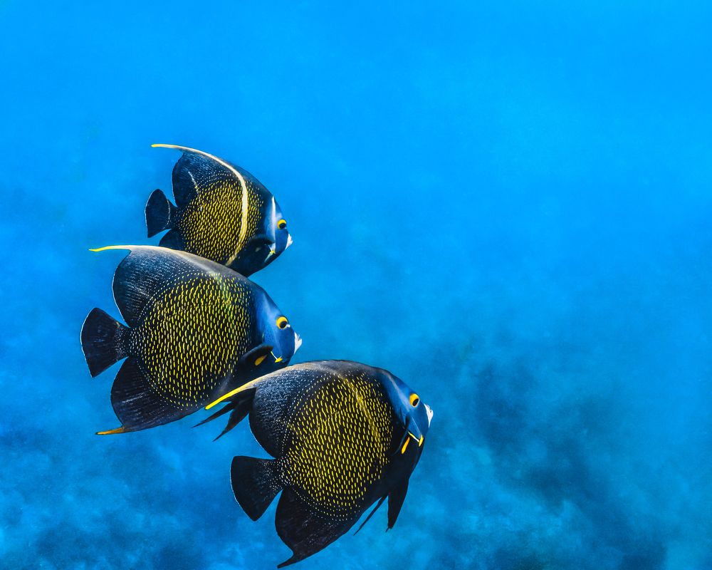 Photograph by Pedro Filadelfo