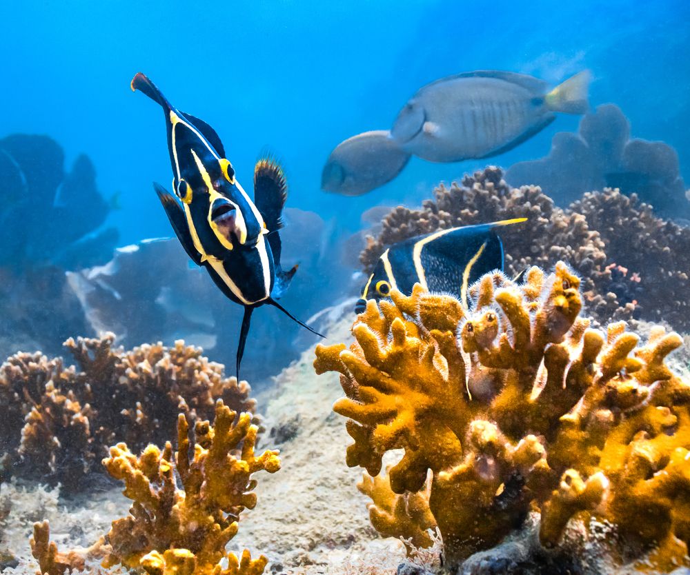 Photograph by Pedro Filadelfo