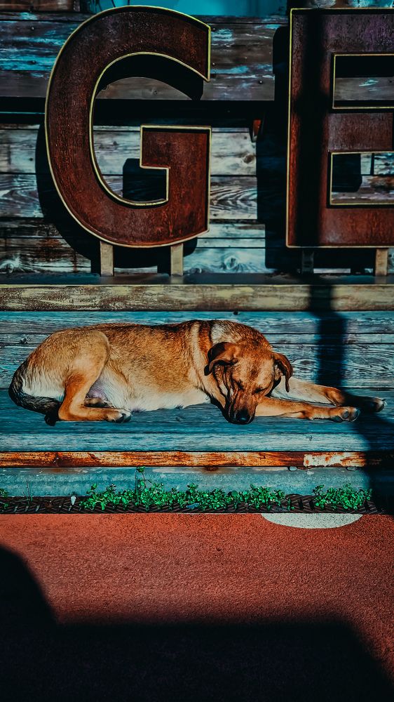 Фотография автора Всеволод Юрша