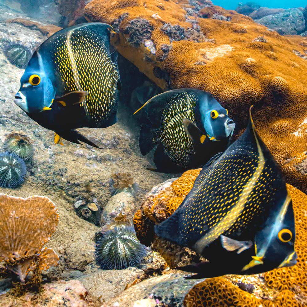 Photograph by Pedro Filadelfo