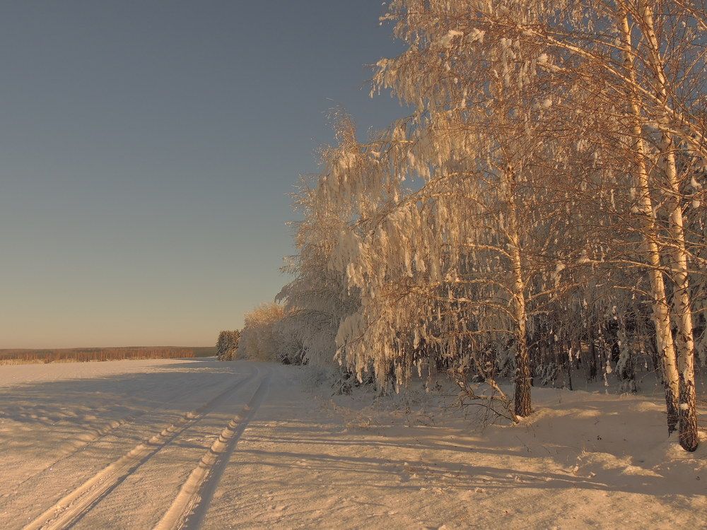Зимняя дорога