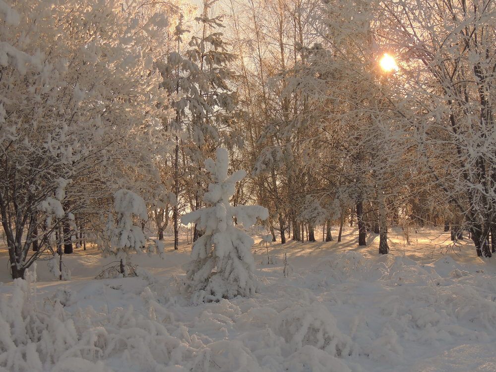 Берендеево царство