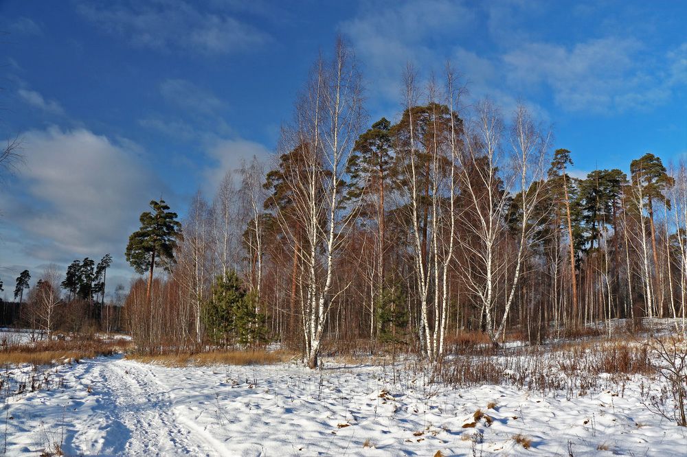 Photograph by Александр Корнелюк