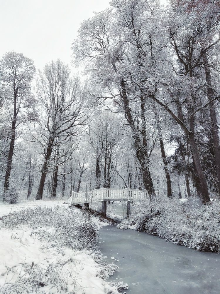 Photo #8555553