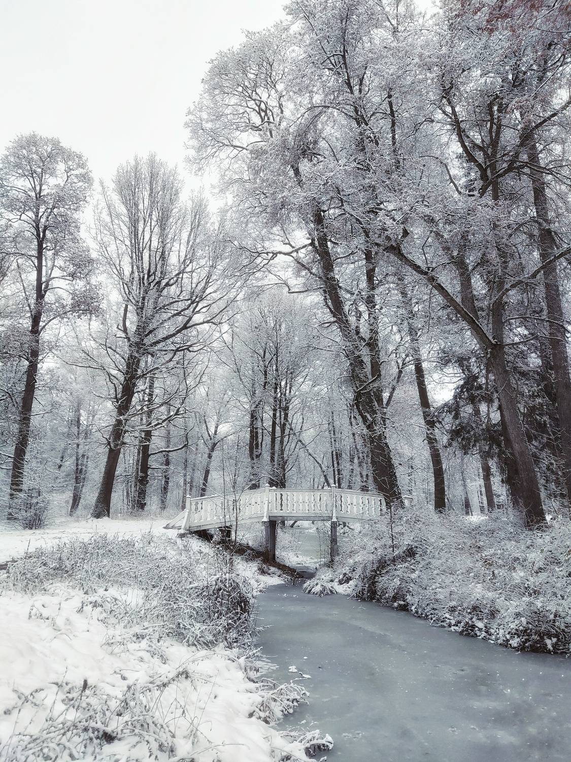 Photo #8555553