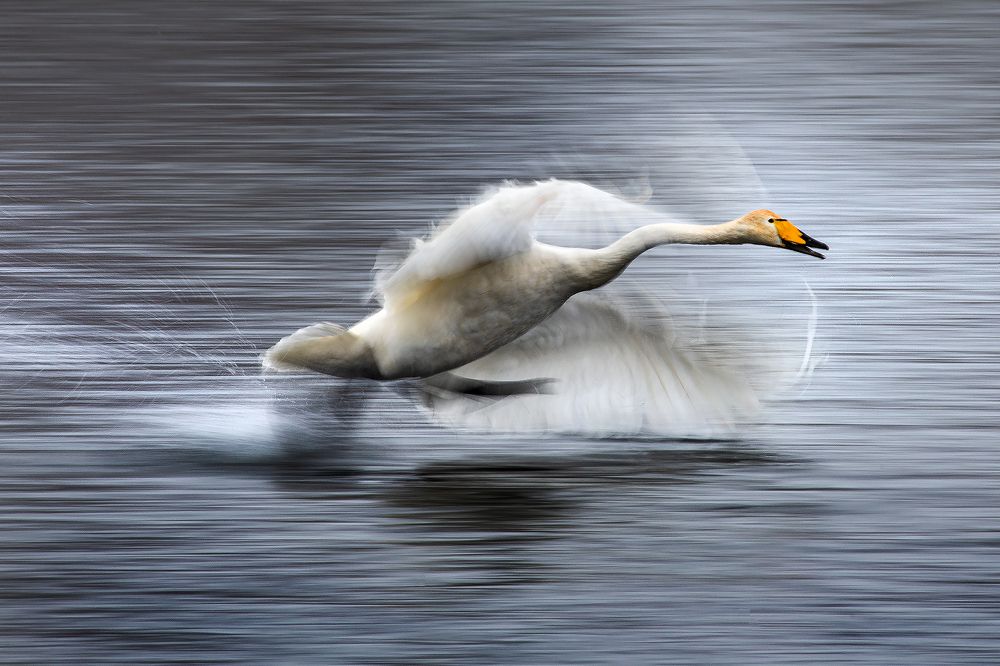 Photograph by Евгений Санин