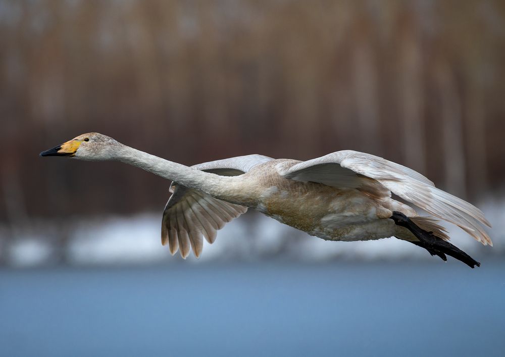 Photograph by Евгений Санин