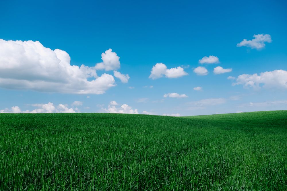 Photograph by Артём Буря(Бутрим)