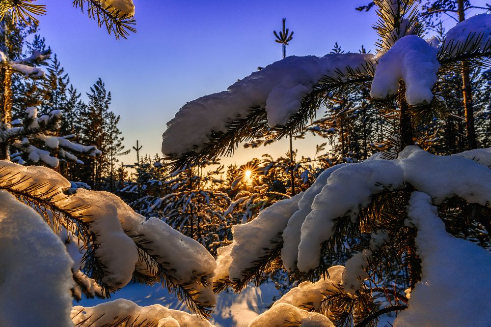 Photograph by Дмитрий Бухтик