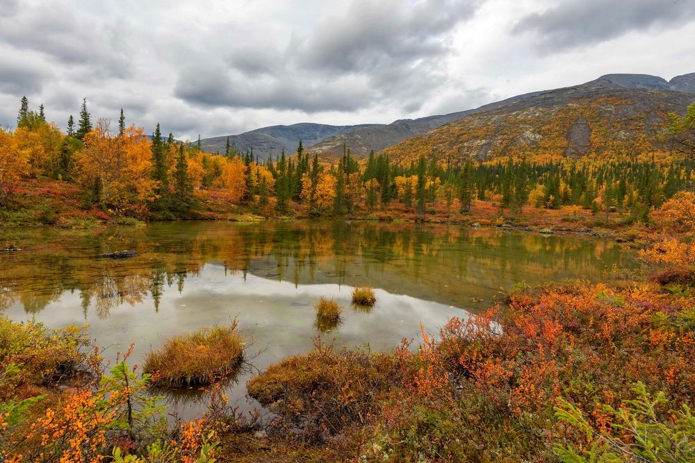 Photograph by Владимир Брагилевский