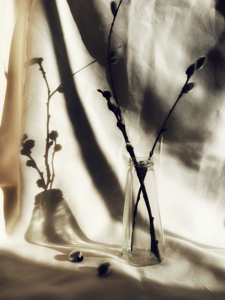 Photograph by Ольга Томашевич