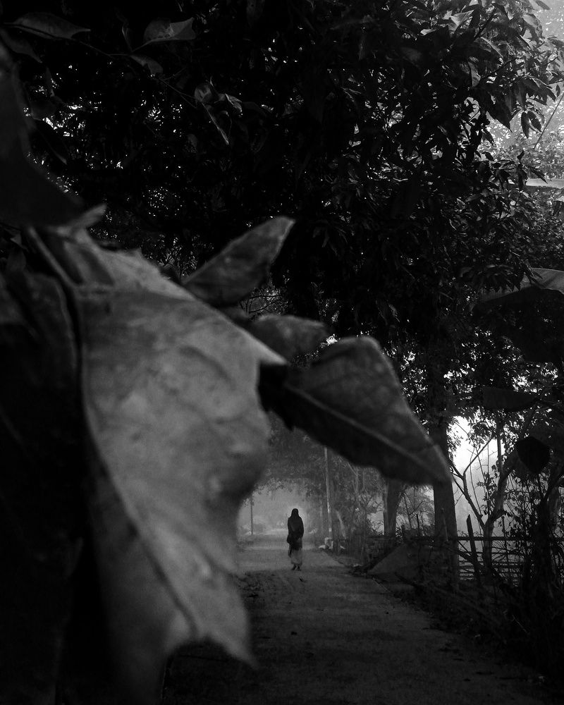 Photo #8555804