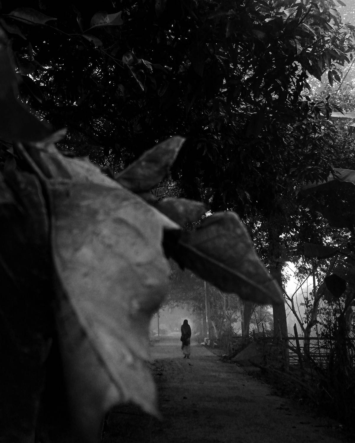 Photo #8555804