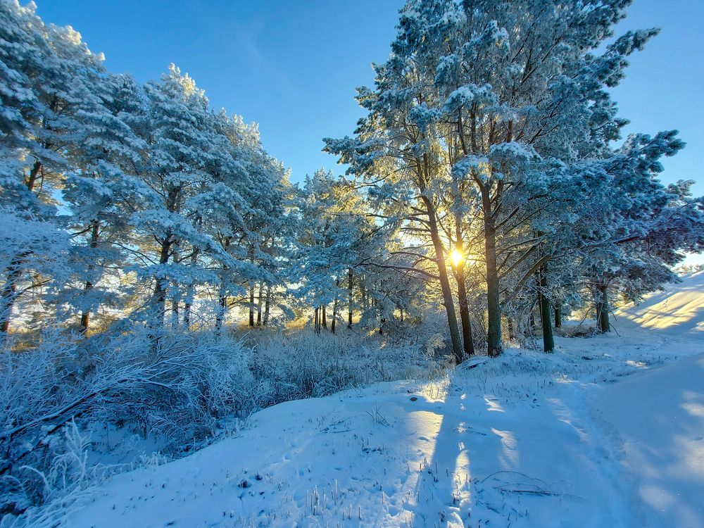 Photograph by Игорь Степанов