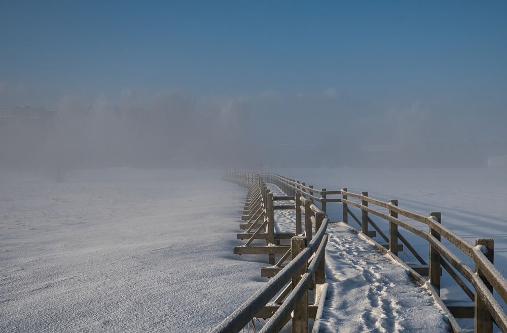 Photograph by Albina Kulikova