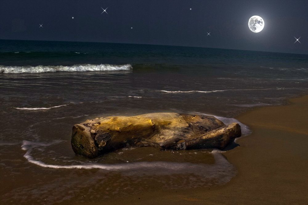 А луна продолжает светить...