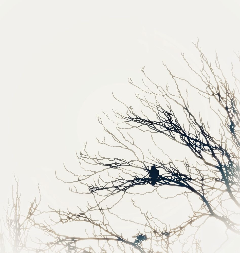 Photograph by anahita peymani