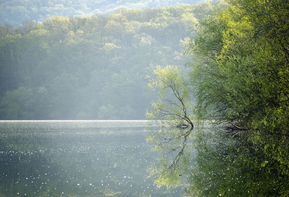 Photograph by София Носкова